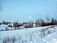 DSC01478